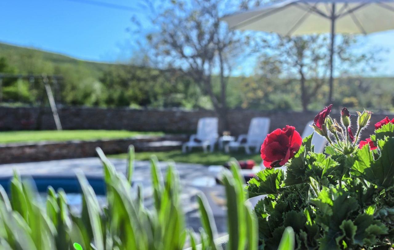 Dalmatia Stone House - Heated Pool Guest House Biorine Luaran gambar